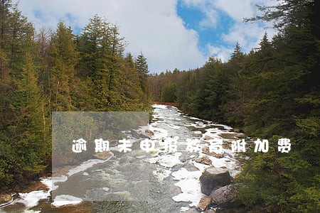 逾期未申报教育附加费
