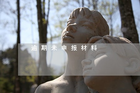 逾期未申报材料