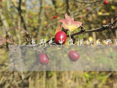 逾期未申报模块在哪里