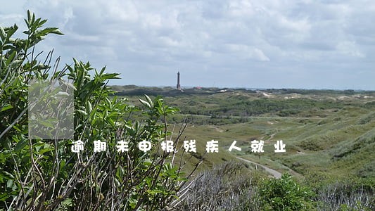逾期未申报残疾人就业