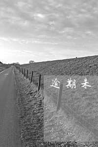 逾期未申报法人