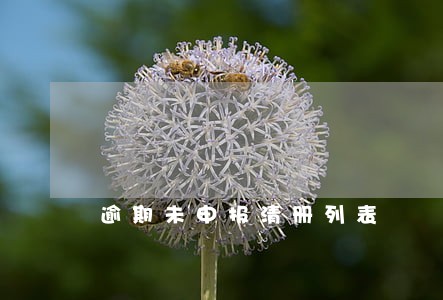 逾期未申报清册列表 逾期未申报清册列表