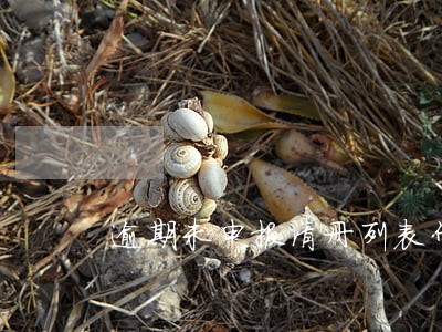 逾期未申报清册列表什么意思
