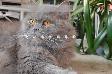 逾期未申报界面 逾期未申报界面