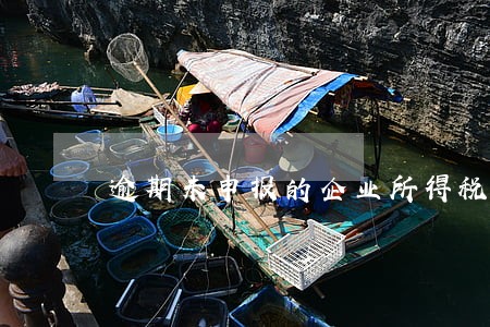 逾期未申报的企业所得税表 逾期未申报的企业所得税表
