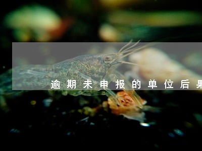 逾期未申报的单位后果自负 逾期未申报的单位后果自负