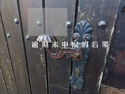 逾期未申报的后果 逾期未申报的后果