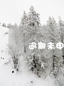 逾期未申报的处罚 逾期未申报的处罚