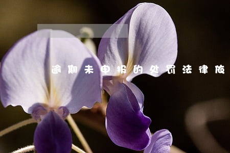 逾期未申报的处罚法律依据 逾期未申报的处罚法律依据