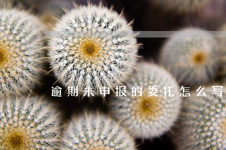 逾期未申报的委托怎么写 逾期未申报的委托怎么写