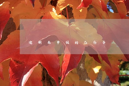 逾期未申报的已补齐 逾期未申报的已补齐