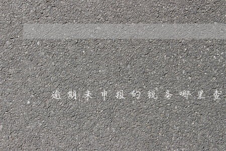 逾期未申报的税务哪里查看 逾期未申报的税务哪里查看