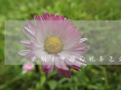 逾期未申报的税务怎么补报 逾期未申报的税务怎么补报