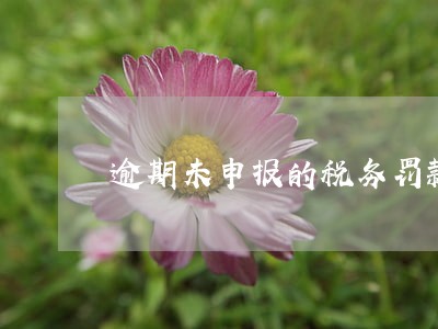 逾期未申报的税务罚款多少钱 逾期未申报的税务罚款多少钱