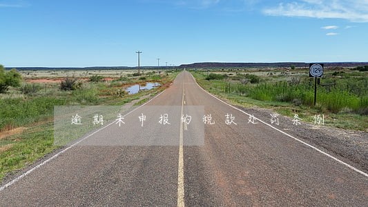 逾期未申报的税款处罚条例 逾期未申报的税款处罚条例