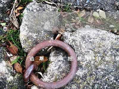 逾期未申报的税种如何补 逾期未申报的税种如何补