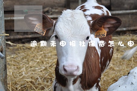 逾期未申报社保费怎么申报 逾期未申报社保费怎么申报