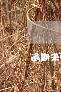 逾期未申报税会罚款吗 逾期未申报税会罚款吗