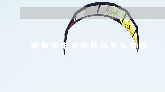 逾期未申报税务局怎么处理 逾期未申报税务局怎么处理