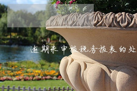 逾期未申报税务报表的处罚 逾期未申报税务报表的处罚