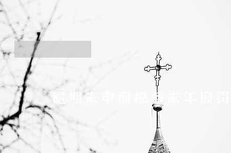 逾期未申报税务未年报罚款