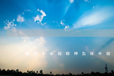 逾期未申报税种怎样补报 逾期未申报税种怎样补报