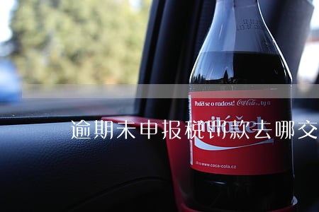 逾期未申报税罚款去哪交 逾期未申报税罚款去哪交