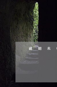 逾期未申报税能减免 逾期未申报税能减免