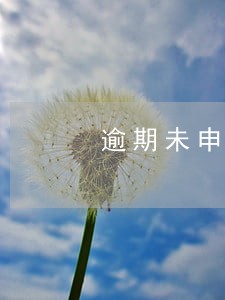 逾期未申报税说明书