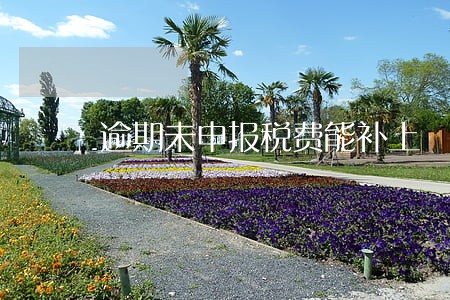 逾期未申报税费能补上 逾期未申报税费能补上
