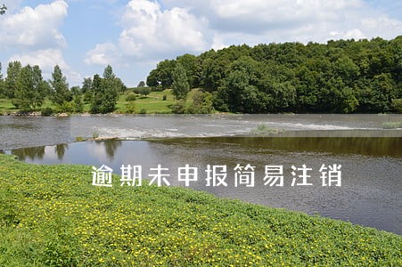 逾期未申报简易注销