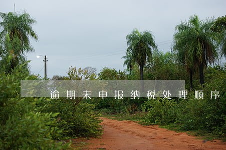 逾期未申报纳税处理顺序