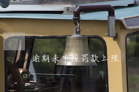 逾期未申报罚款上限