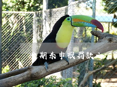 逾期未申报罚款之后再申报吗