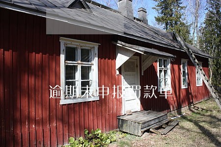 逾期未申报罚款单