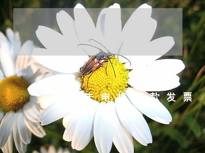 逾期未申报罚款发票 逾期未申报罚款发票