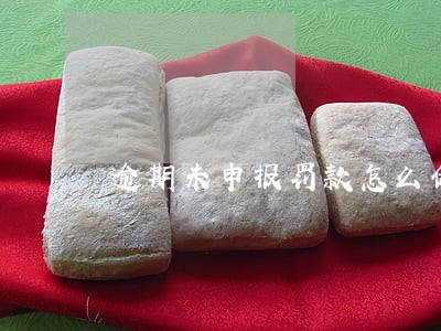 逾期未申报罚款怎么做分录