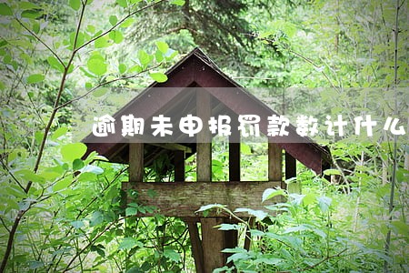 逾期未申报罚款数计什么科目 逾期未申报罚款数计什么科目