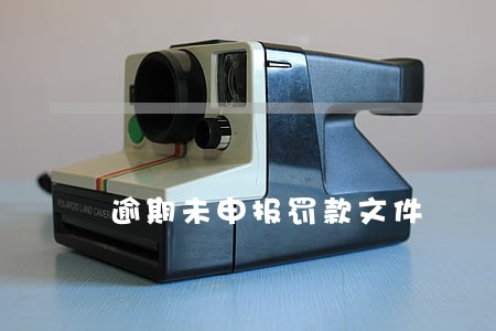 逾期未申报罚款文件 逾期未申报罚款文件