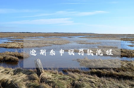 逾期未申报罚款流程