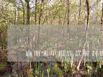 逾期未申报罚款解封时间 逾期未申报罚款解封时间