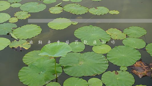 逾期未申报罚款通知吗 逾期未申报罚款通知吗