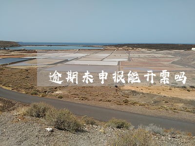 逾期未申报能开票吗 逾期未申报能开票吗