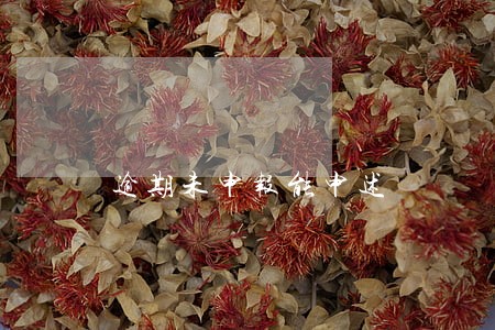 逾期未申报能申述 逾期未申报能申述