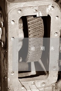 逾期未申报行为如何解决 逾期未申报行为如何解决