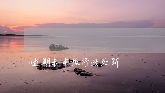 逾期未申报行政处罚 逾期未申报行政处罚