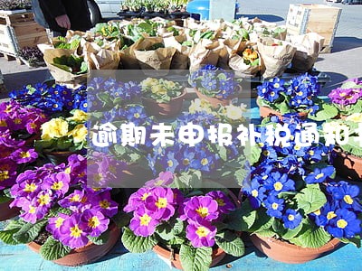 逾期未申报补税通知书 逾期未申报补税通知书