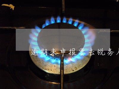 逾期未申报要去税务局带什么章 逾期未申报要去税务局带什么章