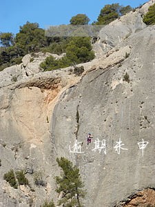 逾期未申报要罚款吗 逾期未申报要罚款吗