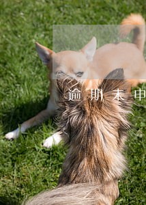 逾期未申报认证发票如何处理 逾期未申报认证发票如何处理